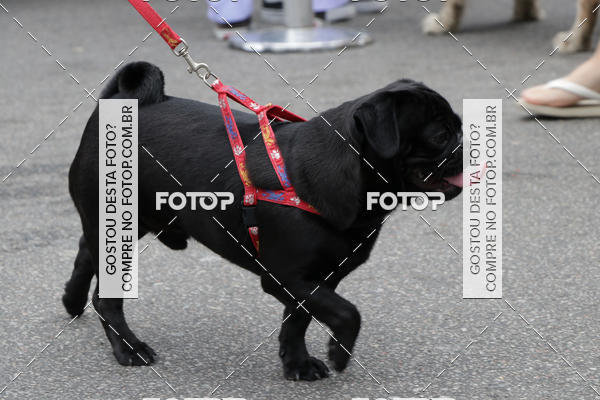 Buy your photos of the event13� C�ominhada - Santos on Fotop