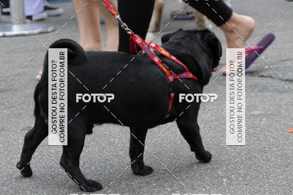 Buy your photos of the event13� C�ominhada - Santos on Fotop