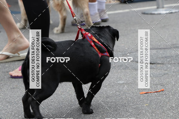 Buy your photos of the event13� C�ominhada - Santos on Fotop