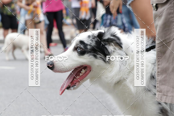 Buy your photos of the event13� C�ominhada - Santos on Fotop