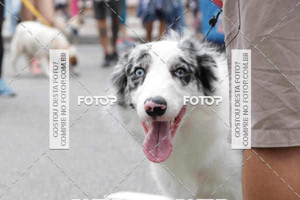 Buy your photos of the event13� C�ominhada - Santos on Fotop