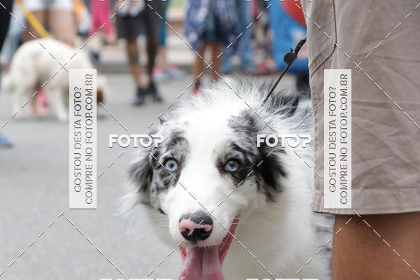 Buy your photos of the event13� C�ominhada - Santos on Fotop