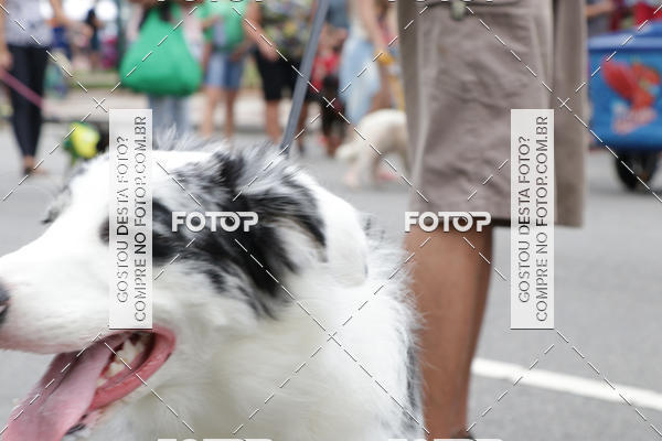 Buy your photos of the event13� C�ominhada - Santos on Fotop