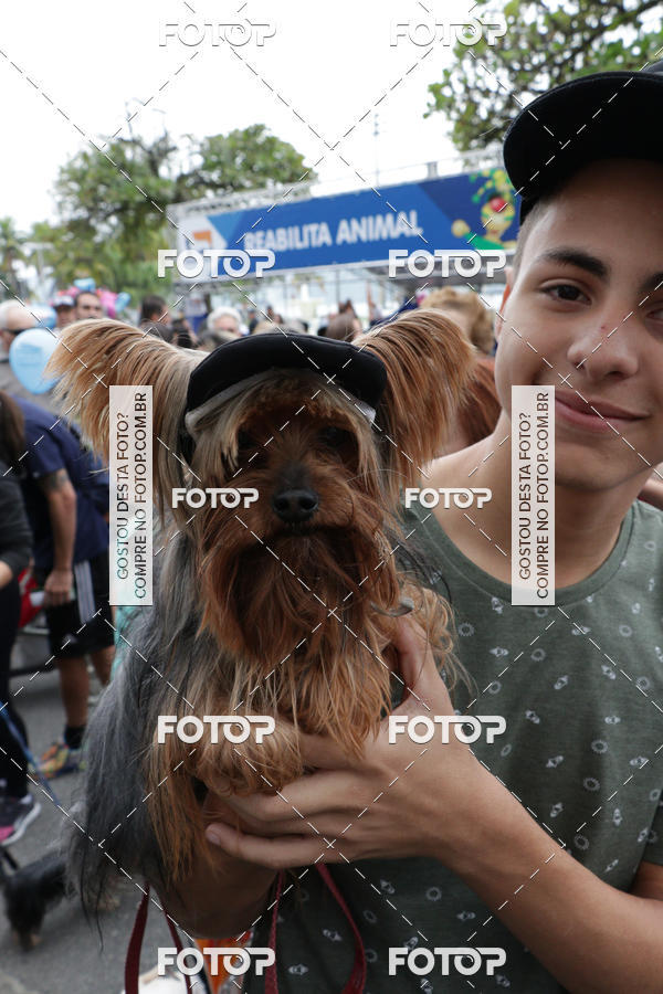 Buy your photos of the event13� C�ominhada - Santos on Fotop