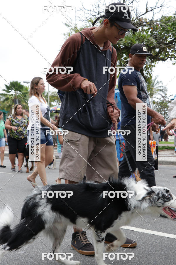 Buy your photos of the event13� C�ominhada - Santos on Fotop