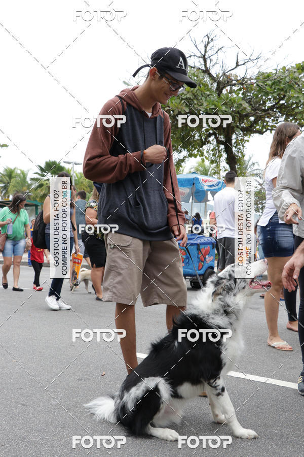 Buy your photos of the event13� C�ominhada - Santos on Fotop