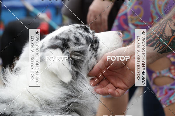 Buy your photos of the event13� C�ominhada - Santos on Fotop