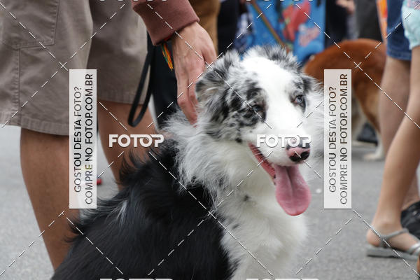 Buy your photos of the event13� C�ominhada - Santos on Fotop