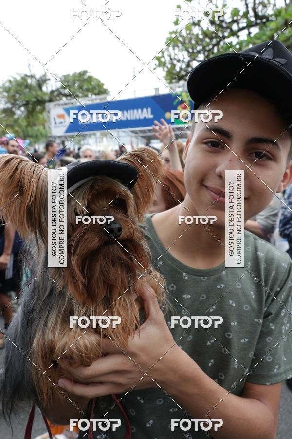 Buy your photos of the event13� C�ominhada - Santos on Fotop