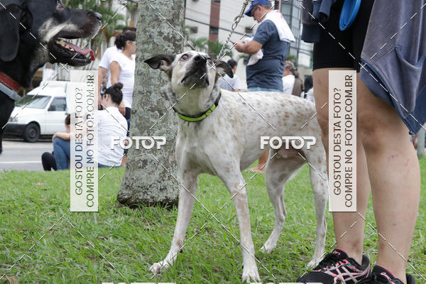 Buy your photos of the event13� C�ominhada - Santos on Fotop