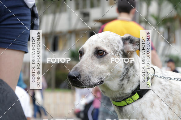 Buy your photos of the event13� C�ominhada - Santos on Fotop