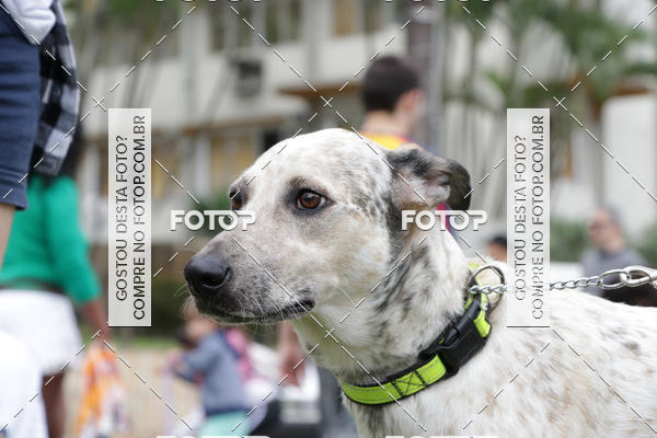 Buy your photos of the event13� C�ominhada - Santos on Fotop