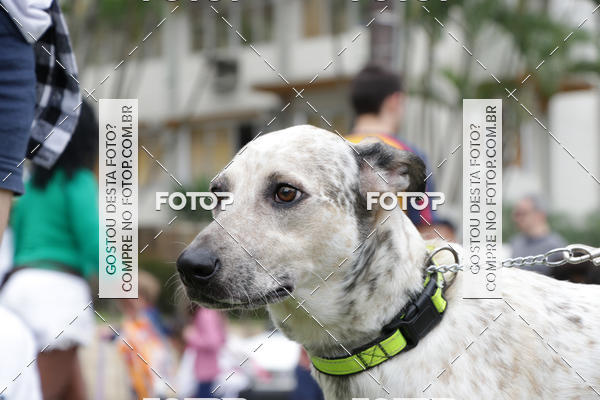 Buy your photos of the event13� C�ominhada - Santos on Fotop