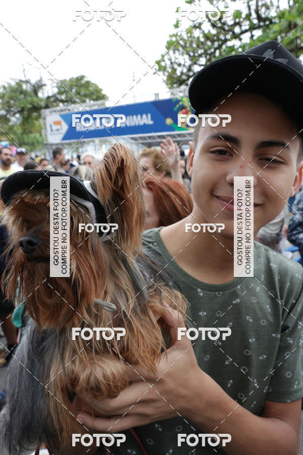 Buy your photos of the event13� C�ominhada - Santos on Fotop