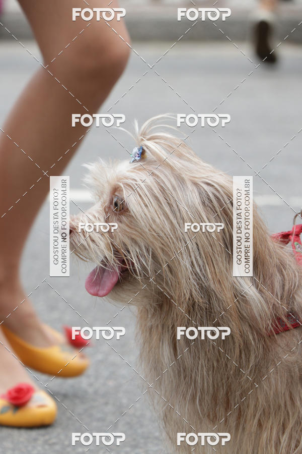 Buy your photos of the event13� C�ominhada - Santos on Fotop