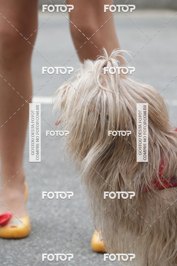 Buy your photos of the event13� C�ominhada - Santos on Fotop