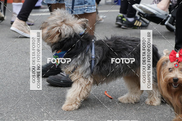 Buy your photos of the event13� C�ominhada - Santos on Fotop