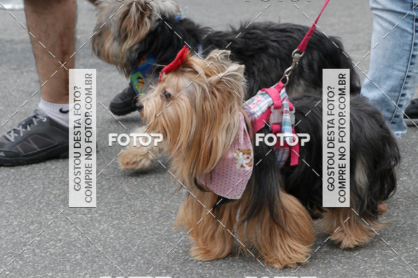 Buy your photos of the event13� C�ominhada - Santos on Fotop