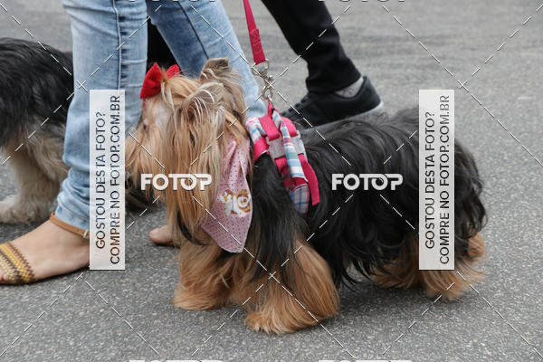 Buy your photos of the event13� C�ominhada - Santos on Fotop