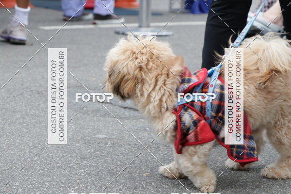Buy your photos of the event13� C�ominhada - Santos on Fotop