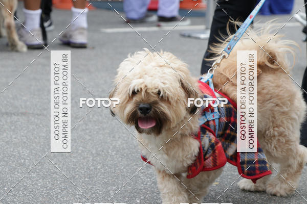 Buy your photos of the event13� C�ominhada - Santos on Fotop