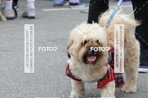 Buy your photos of the event13� C�ominhada - Santos on Fotop