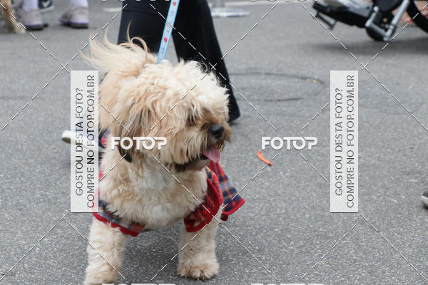 Buy your photos of the event13� C�ominhada - Santos on Fotop