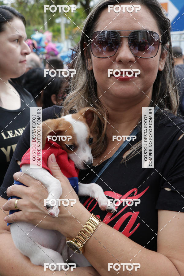 Buy your photos of the event13� C�ominhada - Santos on Fotop