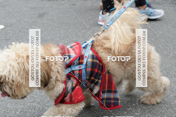 Buy your photos of the event13� C�ominhada - Santos on Fotop