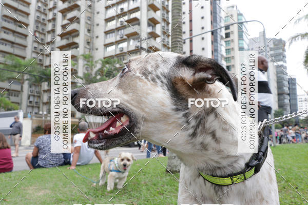 Buy your photos of the event13� C�ominhada - Santos on Fotop