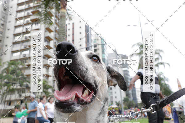 Buy your photos of the event13� C�ominhada - Santos on Fotop