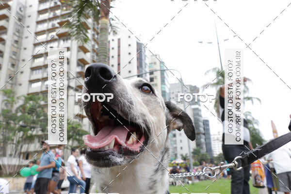 Buy your photos of the event13� C�ominhada - Santos on Fotop