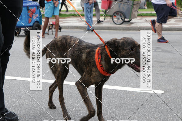 Buy your photos of the event13� C�ominhada - Santos on Fotop