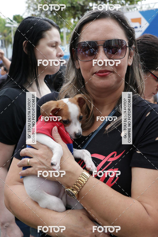 Buy your photos of the event13� C�ominhada - Santos on Fotop