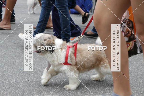 Buy your photos of the event13� C�ominhada - Santos on Fotop