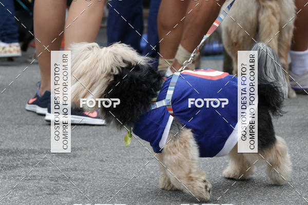 Buy your photos of the event13� C�ominhada - Santos on Fotop