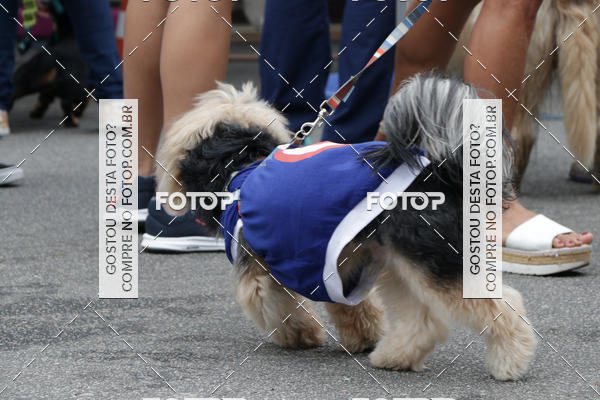 Buy your photos of the event13� C�ominhada - Santos on Fotop