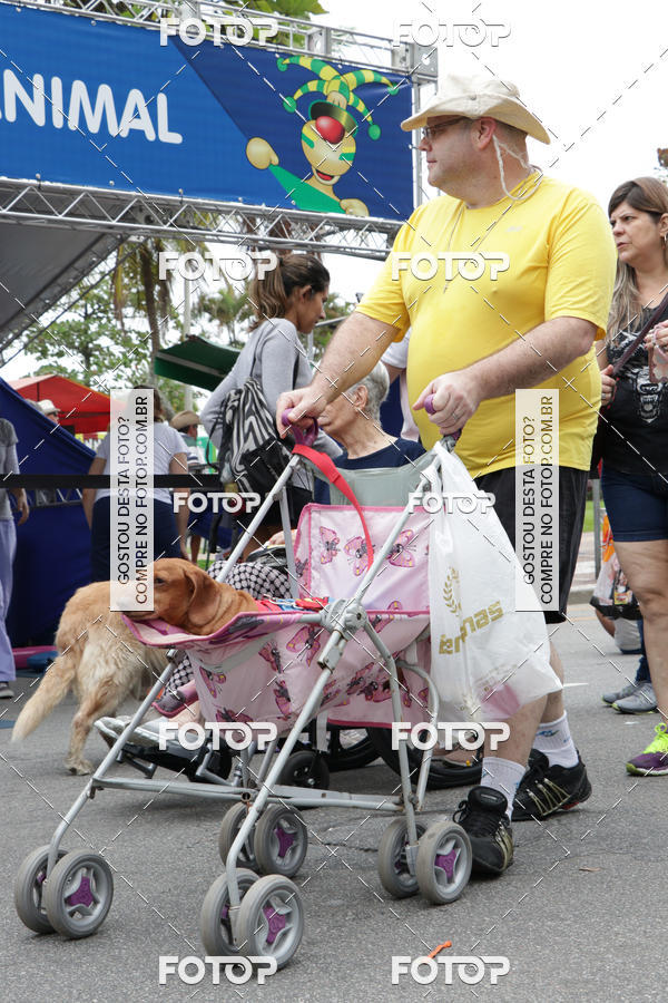 Buy your photos of the event13� C�ominhada - Santos on Fotop