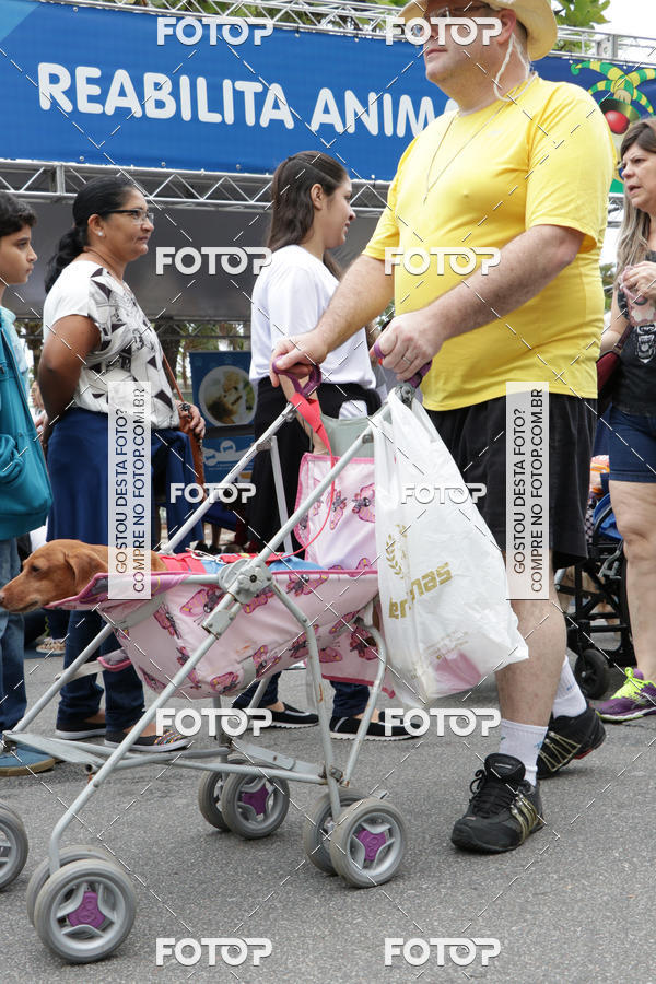 Buy your photos of the event13� C�ominhada - Santos on Fotop