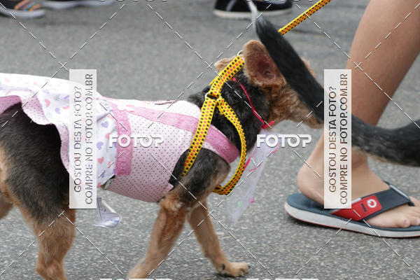 Buy your photos of the event13� C�ominhada - Santos on Fotop