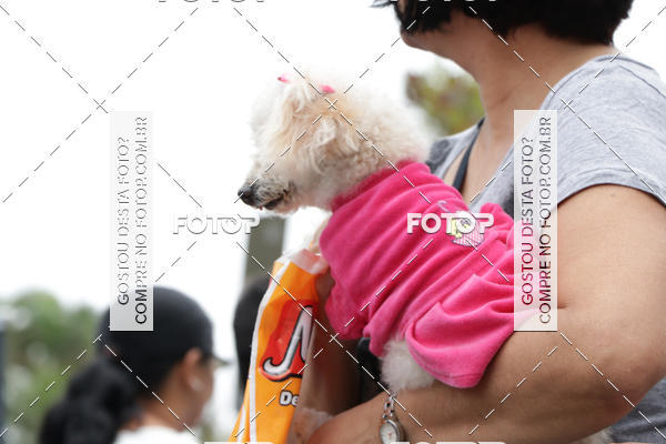 Buy your photos of the event13� C�ominhada - Santos on Fotop