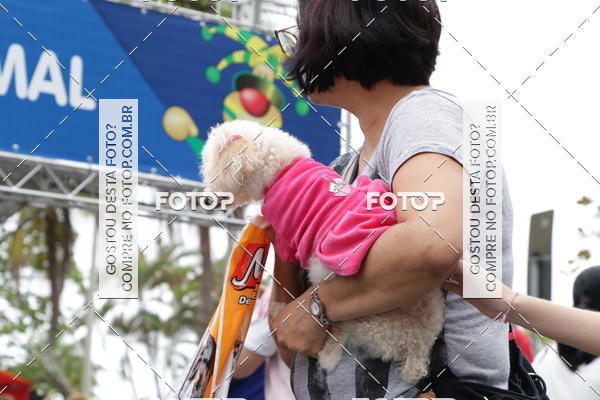 Buy your photos of the event13� C�ominhada - Santos on Fotop