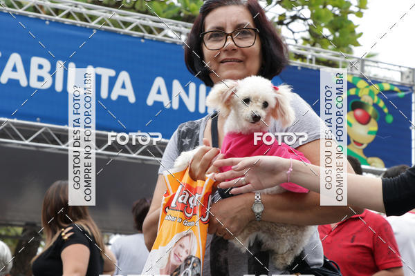Buy your photos of the event13� C�ominhada - Santos on Fotop
