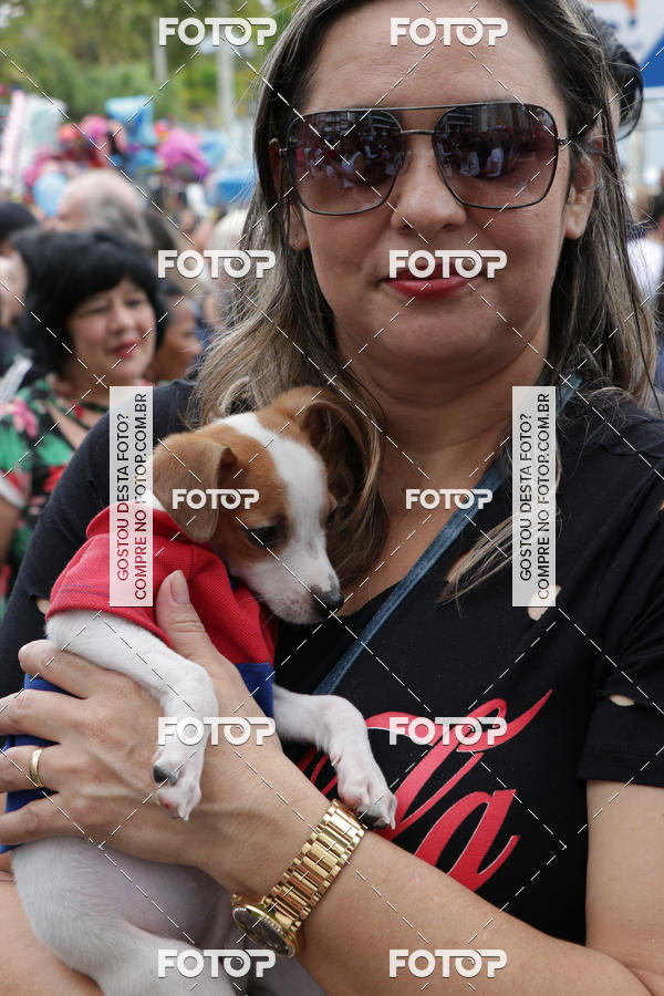 Buy your photos of the event13� C�ominhada - Santos on Fotop
