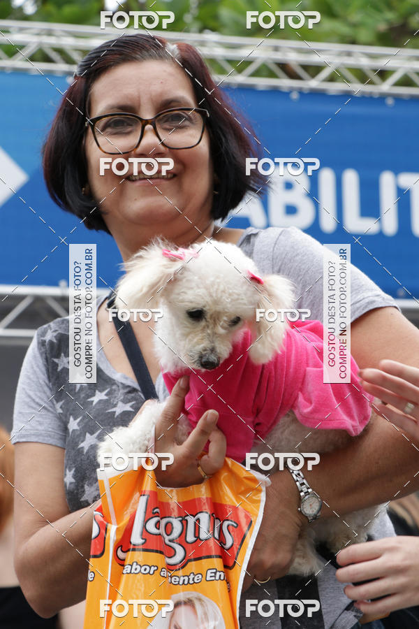 Buy your photos of the event13� C�ominhada - Santos on Fotop