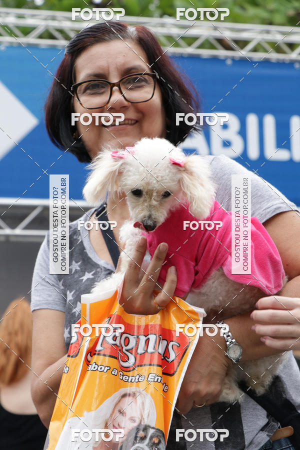 Buy your photos of the event13� C�ominhada - Santos on Fotop