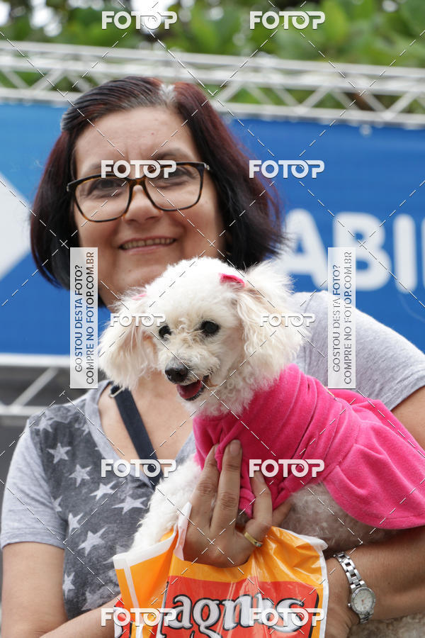 Buy your photos of the event13� C�ominhada - Santos on Fotop