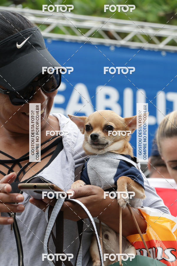 Buy your photos of the event13� C�ominhada - Santos on Fotop