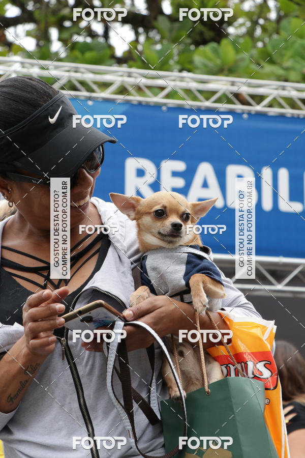 Buy your photos of the event13� C�ominhada - Santos on Fotop