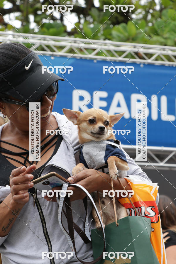 Buy your photos of the event13� C�ominhada - Santos on Fotop